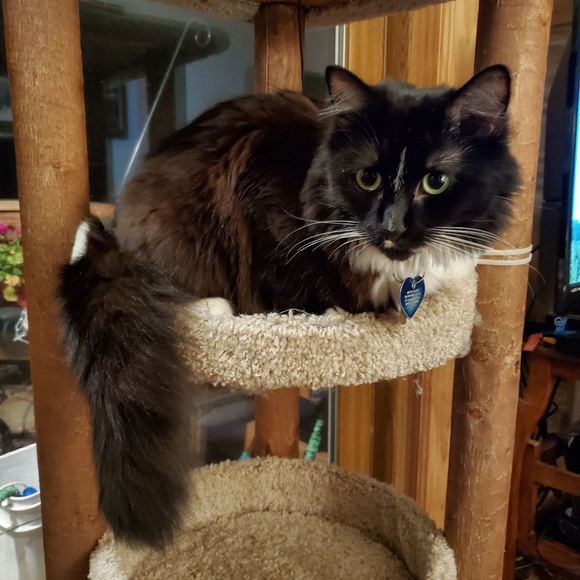 Meet your Posher, Lee - Picture 7 of 8